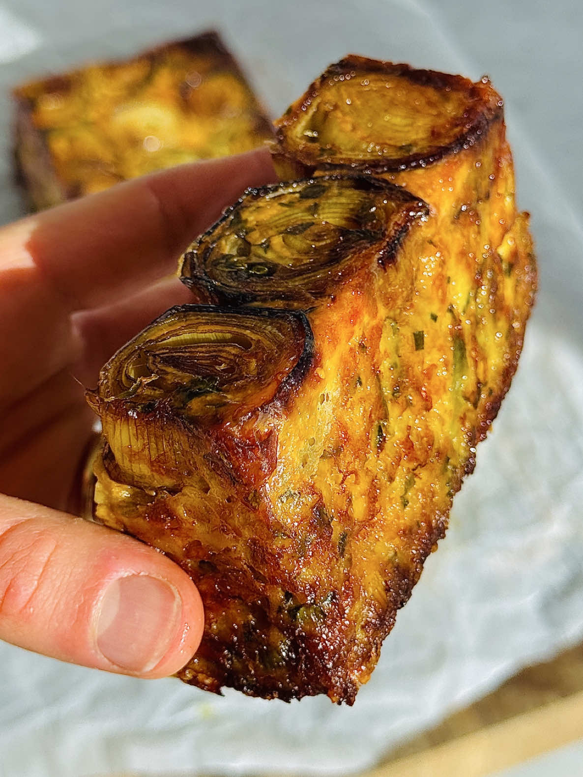 Vegetarian Leek and Zucchini Loaf